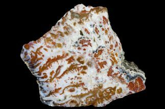 2.5" Wingate Pass Plume Agate Slab - California - Crystal #184787