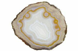 4.9" Polished Banded Agate Slab - Agouim, Morocco - Crystal #184906