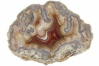3.8" Polished Banded Laguna Agate Slab - Mexico - Crystal #185175