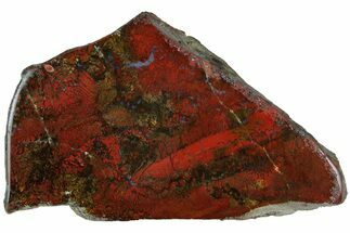 Red, Indonesian Plume Agate Section - North Sumatra, Indonesia #185361