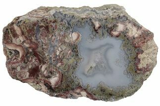 Indonesian Plume Agate Section - Java, Indonesia #185450