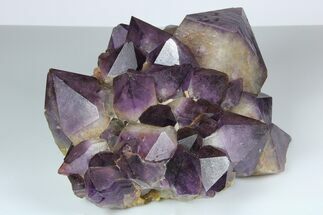 8.8" Deep Purple Amethyst Crystal Cluster With Huge Crystals - Crystal #185445