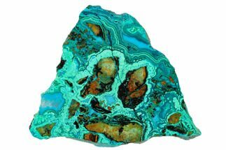 4.5" Polished Banded Chrysocolla and Malachite - Bagdad Mine, Arizona - Crystal #185890