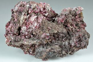 3.8" Magenta Erythrite Crystal Cluster - Morocco - Crystal #184291