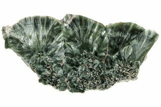 3.65" Polished Seraphinite Slab - Siberia - Crystal #183540