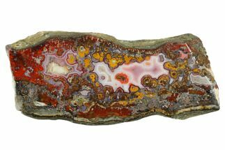 Polished Cruentus Agate Section - Kerrouchen, Morocco #187130