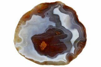 5.3" Polished Banded Agate Nodule Section - Kerrouchen, Morocco - Crystal #186924