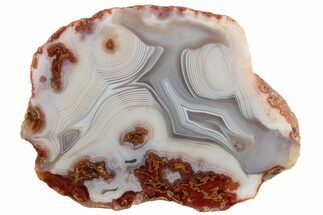 Polished Banded Agate with Wegeler Effect - Morocco #187220