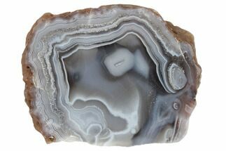 3.5" Polished, Banded Agate Nodule Section - Kerrouchen, Morocco - Crystal #186939