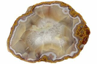 4.8" Polished Banded Agate Nodule Half - Kerrouchen, Morocco - Crystal #186921
