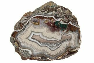 Polished Banded Agate Nodule Section - Morocco #187167