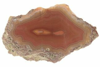 Polished Banded Agate Nodule Section - Morocco #187170