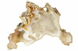 Agatized Fossil Coral Geode With Sparkly Quartz - Florida #188192