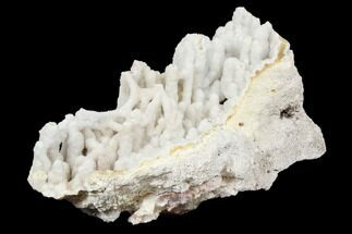 Agatized Fossil Coral With Quartz Stalactites - Florida #188201