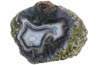 Polished Banded Agate Nodule Section - Morocco #187063