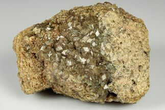 Olive Topazolite Garnet Cluster - Quartzite Mountain, Arizona #188301