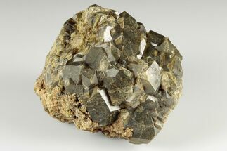 Olive Topazolite Garnet Cluster - Quartzite Mountain, Arizona #188288