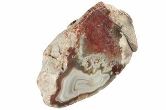 4.35" Polished Banded Lake Superior Agate - Minnesota - Crystal #189413