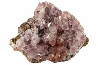 2.2" Cobaltoan Calcite Crystal Cluster - Bou Azzer, Morocco - Crystal #185533