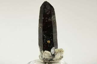 Smoky Quartz Crystal with Garnet and Feldspar - China #191534