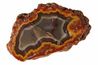 2.4" Polished, Banded Agate Nodule Section - Kerrouchen, Morocco - Crystal #191832