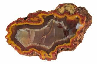 2.4" Polished, Banded Agate Nodule Section - Kerrouchen, Morocco - Crystal #191834