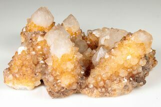 Sunshine Cactus Quartz Crystal Cluster - South Africa #191802