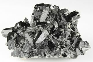 Black Tourmaline (Schorl) Crystal Cluster - Mexico #190542
