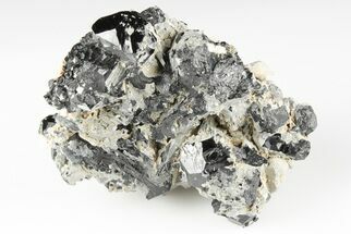 Black Tourmaline (Schorl) Crystal Cluster - Mexico #190545