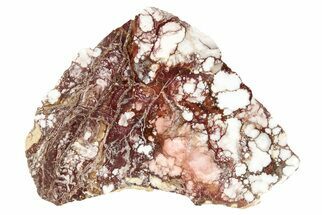 5.6" Polished Wild Horse Magnesite Slab - Arizona - Crystal #192813
