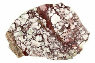 6.7" Polished Wild Horse Magnesite Slab - Arizona - Crystal #192853