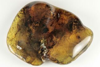 3.6" Polished Chiapas Amber (62 grams) - Mexico - Fossil #193214