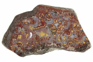 Polished Cruentus Agate Section - Kerrouchen, Morocco #187104