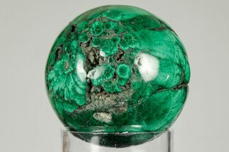 1.6" Flowery, Polished Malachite Sphere - Congo - Crystal #193460