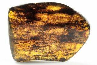 3.1" Polished Chiapas Amber (43 grams) - Mexico - Fossil #193291