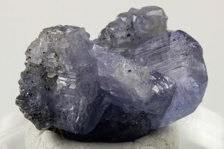 .7" Blue-Violet Tanzanite Crystal Cluster - Merelani Hills, Tanzania - Crystal #190891