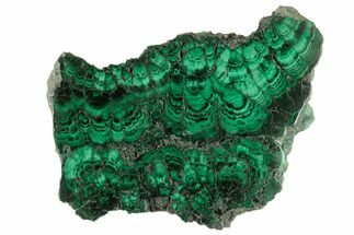 4.8" Polished Malachite Slab - Congo - Crystal #194307