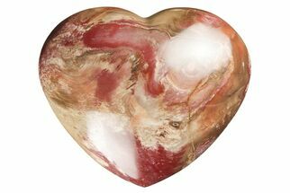 4.5" Polished Triassic Petrified Wood Heart - Madagascar - Fossil #194889