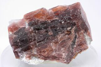 Rare, Red Villiaumite Crystal Section - Murmansk Oblast, Russia #195320