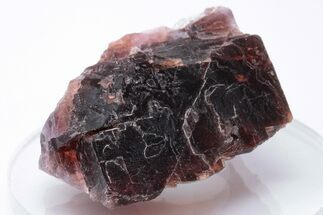 Rare, Red Villiaumite Crystal Section - Murmansk Oblast, Russia #195325