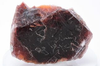 Rare, Red Villiaumite Crystal Section - Murmansk Oblast, Russia #195328