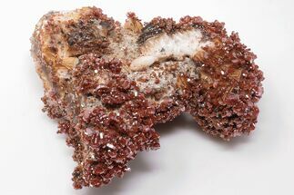 5.4" Ruby Red Vanadinite Crystals on White Barite - Top Quality - Crystal #196357