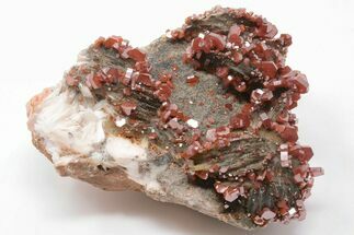 5" Ruby Red Vanadinite Crystals on White Barite - Top Quality - Crystal #196354