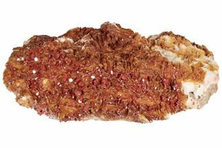 Ruby Red Vanadinite Crystals on Orange Barite - Morocco #196365