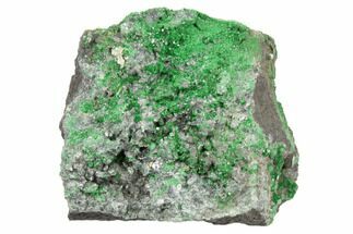 Green Uvarovite (Garnet Group) Cluster - Russia #195601