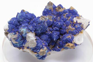 Vivid-Blue Azurite Encrusted Quartz Crystals - China #197096