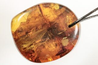Polished Chiapas Amber ( g) Necklace - Mexico #197914