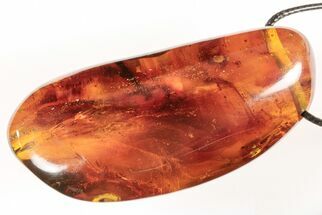 Polished Chiapas Amber ( g) With Insects - Necklace #197935