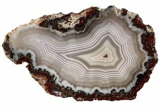 4" Polished Laguna Agate Slice - Mexico - Crystal #198084
