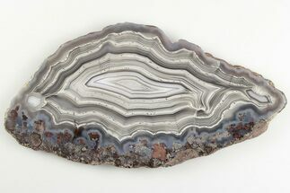 Polished Banded Agate Slice - Chihuahua, Mexico #198127